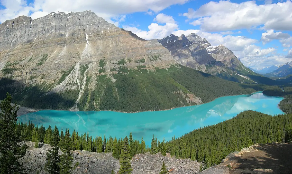 Der Peyto Lake am Icefields Parkway